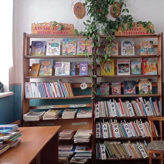 Благодаря программе Губернатора Вологодской области &quot;Сельская библиотека&quot; в этом году будет обновлен Озерецкий филиал Тарногской центральной библиотеки.