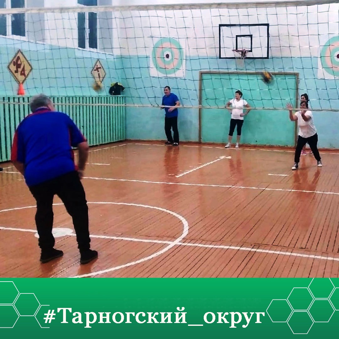 Чемпионат по пионерболу среди команд трудовых коллективов предприятий, учреждений и организаций Тарногского округа состоится 22 апреля.