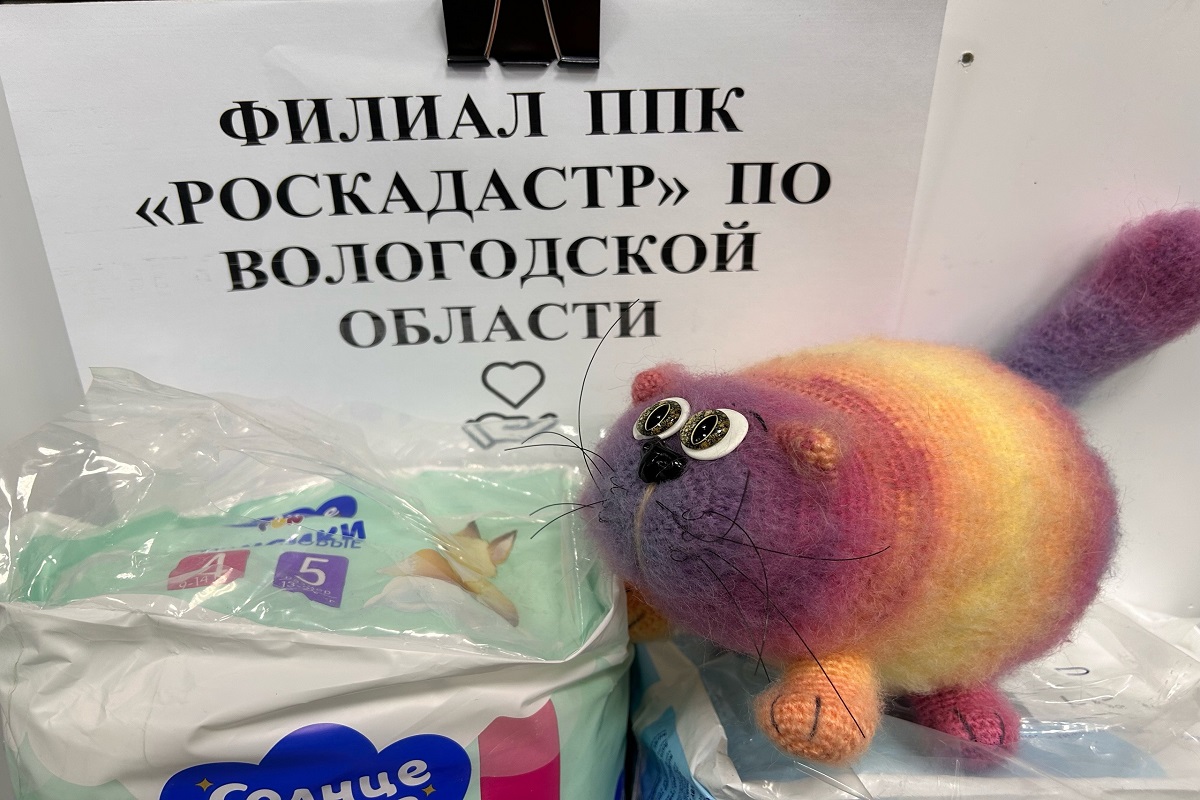 Роскадастр по Вологодской области принял участие в благотворительной акции по сбору вещей для нуждающихся.