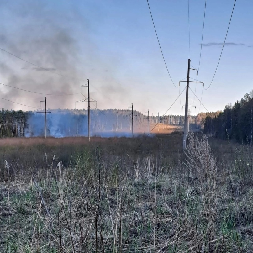 Губернатор Олег Кувшинников поручил в случае повышения пожарной опасности оперативно вводить особый противопожарный режим.