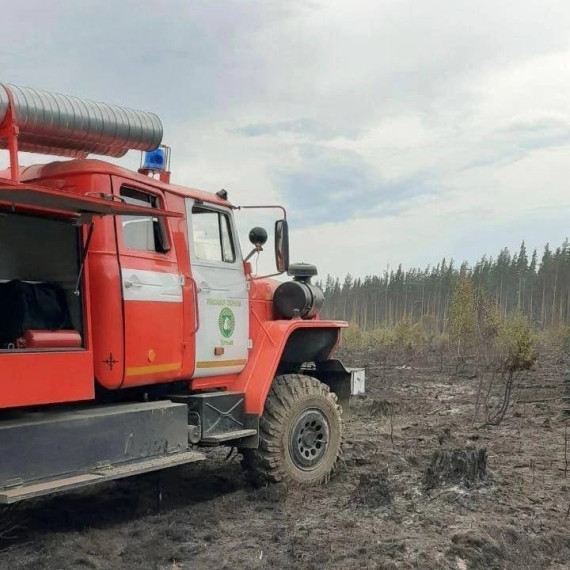 Губернатор области сообщил, что с сегодняшнего дня до 14 мая на Вологодчине действует особый противопожарный режим..