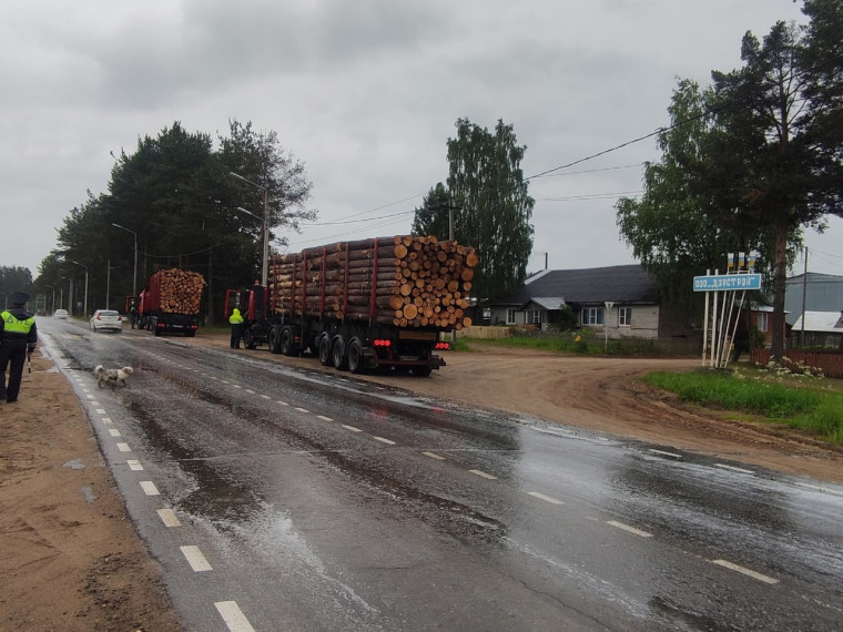 В утренние часы сотрудники Госавтоинспекции на автодороге А123-Тарнога-Костылево проводят массовую проверку в целях снижения дорожно-транспортных происшествий..